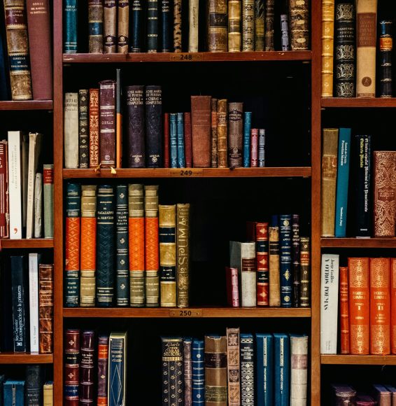 inaki-del-olmo-NIJuEQw0RKg-unsplash inaki-del-olmo-NIJuEQw0RKg-unsplash